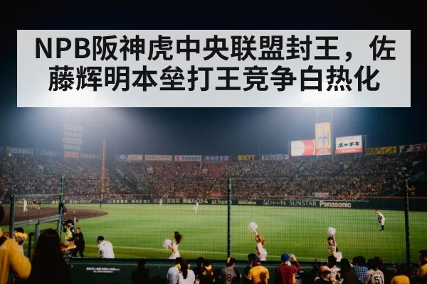 baseball stadium night game